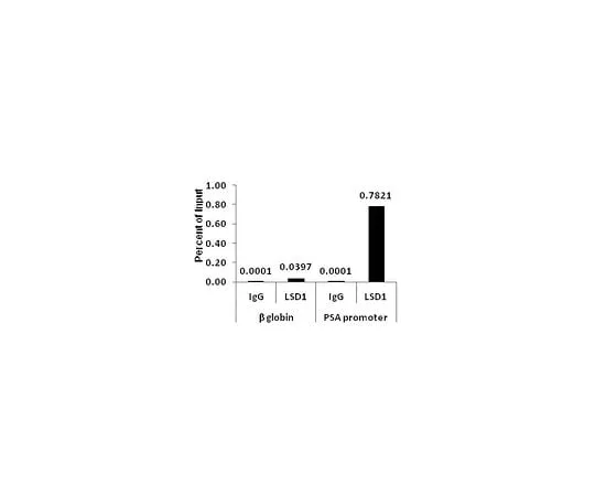 62-8395-20 ChIPAb+ LSD1 (KDM1A) Antibody - ChIP Validated Antibody and Primer Set 17-10531