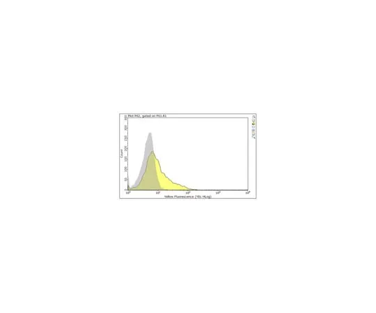 62-8369-16 Anti-CD27 Antibody, clone RM27-3E5 04-1475-I