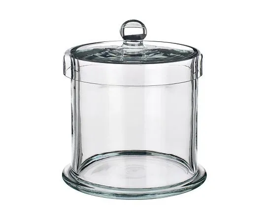3-8258-04 Storage Bottle (Silica Glass) No.4