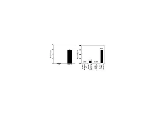 62-8393-82 ChIPAb+ Monomethyl-Histone H3 (Lys9); 25 assays 17-680
