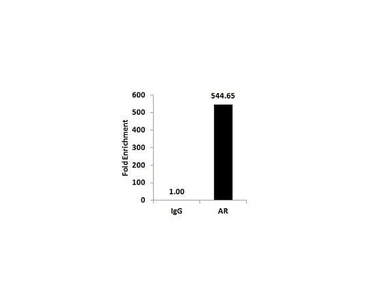 62-8394-97 ChIPAb+ Androgen Receptor- ChIP Validated Antibody and Primer Set 17-10489