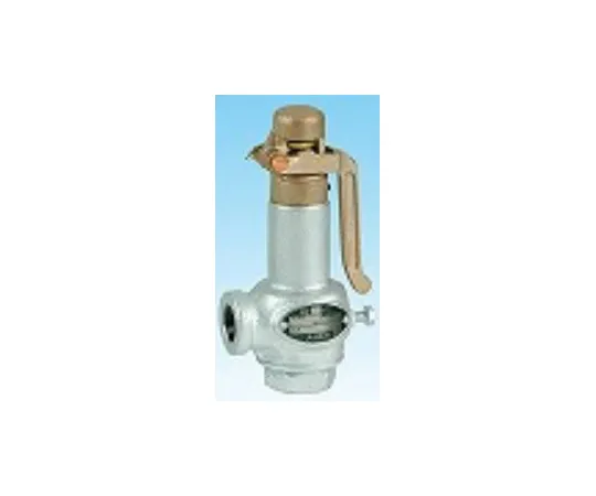 64-3824-44 FCD/SUS Lift safety Valve Open Type, Screwed AL-10SUS-15A