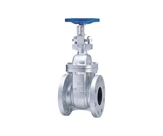 65-1887-68 Cast Iron General Purpose Gate Valve with Opening Indicator (10 FCHI) Nominal Diameter 40 mm 10FCHI40A