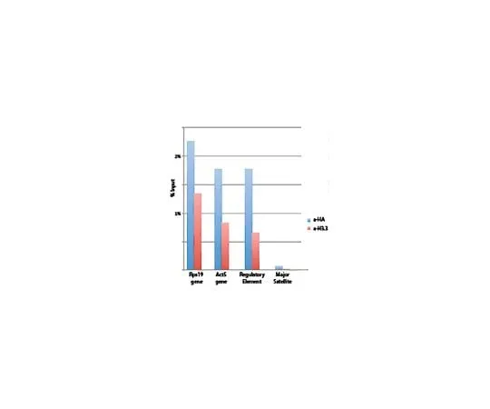 62-8390-06 Anti-Histone H3.3; 100 μg 09-838
