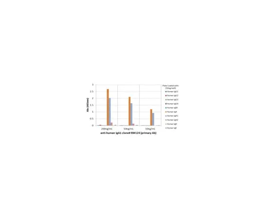 62-8369-78 Rabbit Anti-Human IgA1 Antibody, clone RM124 04-1656