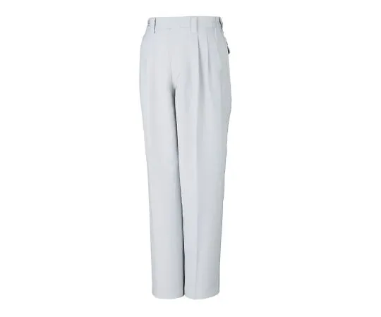 3-721-01 High Antistatic Pants (Two-Tuck) Silver S 80401-036-S