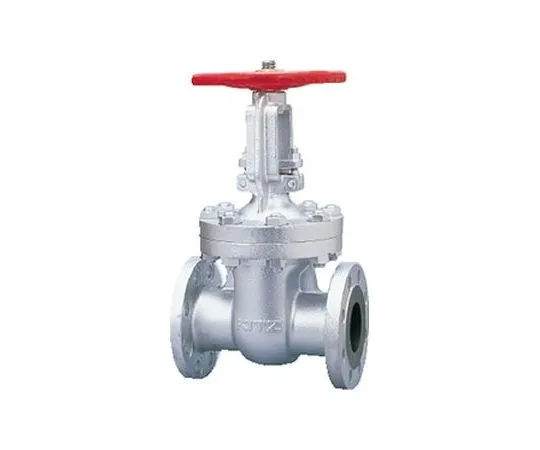 65-1881-55 Ductile Iron Gate Valve (20 SLBO) Nominal Diameter 40 mm 20SLBO40A