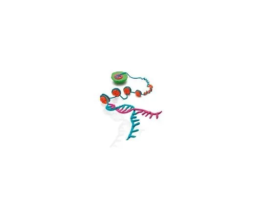 62-8393-56 Magna ChIP(TM) G Chromatin Immunoprecipitation Kit; 22 assays 17-611