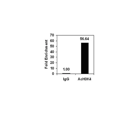 62-8394-03 ChIPAb+ Acetyl-Histone H3 (Lys4); 25 assays 17-10050