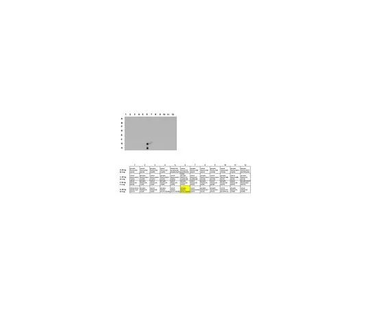 62-8460-48 Anti-phospho Histone H3.1/H3.2 (Ser87) ABE155