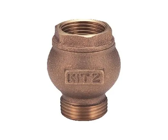 65-1889-26 General Purpose foot valve (FT) Nominal Diameter 20 mm FT20A