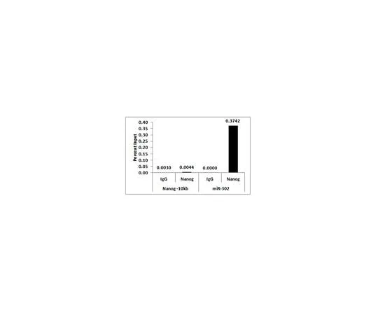 62-8393-70 ChIPAb+ Nanog Antibody - ChIP Validated Antibody and Primer Set 17-655