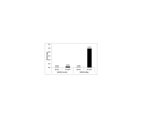 62-8384-67 Anti-dimethyl Histone H3 (Lys36) Cat. No. 07-369-I 07-369-I