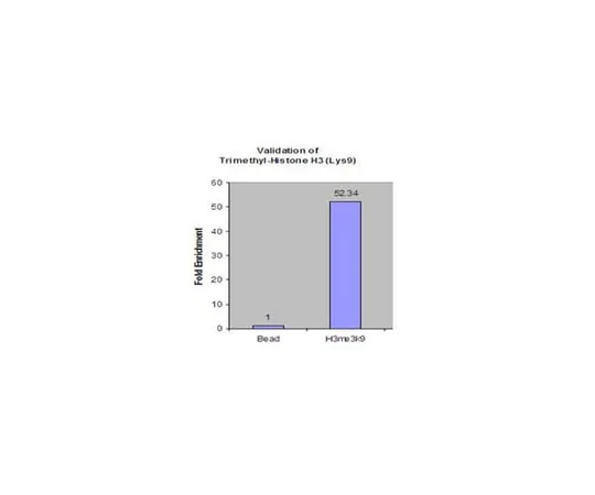 62-8374-46 Anti-trimethyl-Histone H3 (Lys9), clone 6F12-H4 Sample 05-1242-S