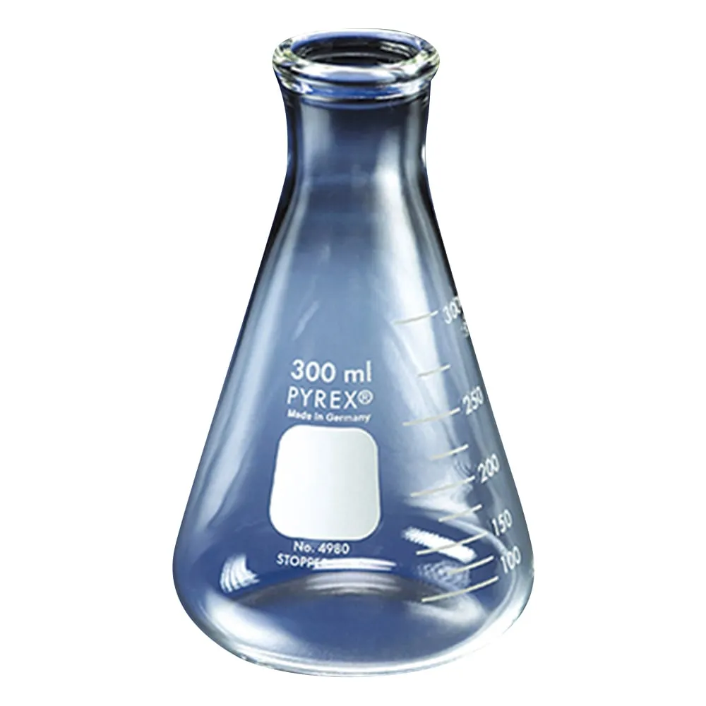 2-9430-01 Erelenmeyer Flask 10mL 4980-10