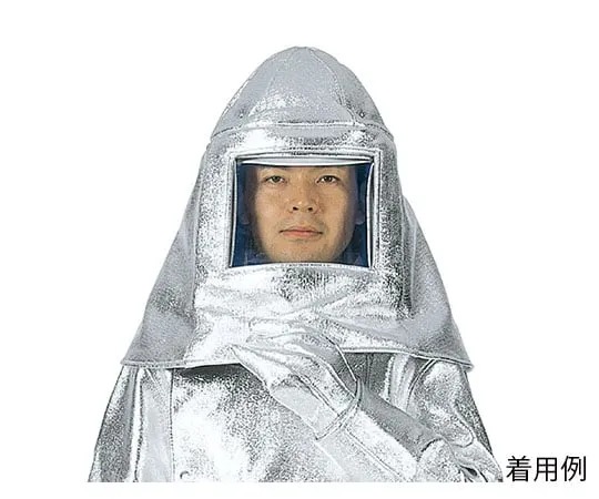 62-6281-61 Carmaron Aluminum Deposition Protective Hood RHC-20