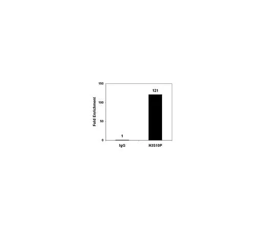 62-8393-85 ChIPAb+ Phospho-Histone H3 (Ser10); 25 assays 17-685