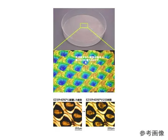 61-9713-30 EZSPHERE (Spheroid Formation Culturing Container) Microplate 96Well 5 Pieces 4860-900