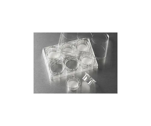 61-4688-25 Transwell 6 Wells 0.4μm, Cell Cultivated Surface Treatment Processed 3412