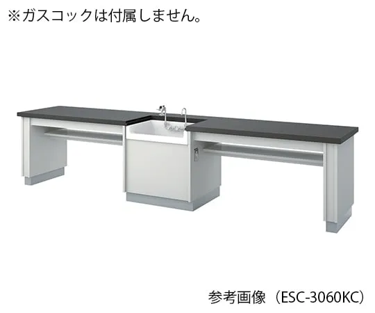 3-7665-01 Student Laboratory bench 3000 x 600 x 700mm ESC-3060KCL