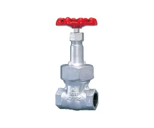 65-1881-48 Ductile Iron Gate Valve (16 SMS) Nominal Diameter 15 mm 16SMS15A
