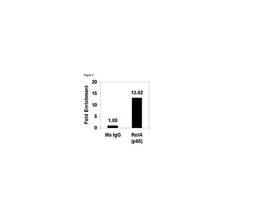 62-8394-06 ChIPAb+ NFκB p65 (RelA); 25 assays 17-10060