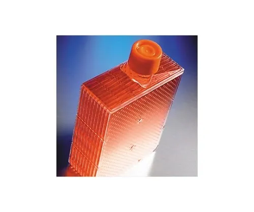 61-4691-80 Flat Cap for Hyper Flask , 33mm 10035