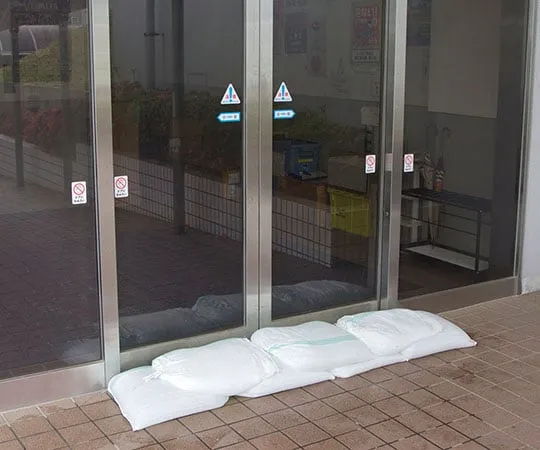 61-9734-21 Emergency Simple Sandbags 10 pcs Standard H-DNW-5