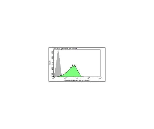 62-8381-97 Anti-FcεRI α subunit 06-725-I