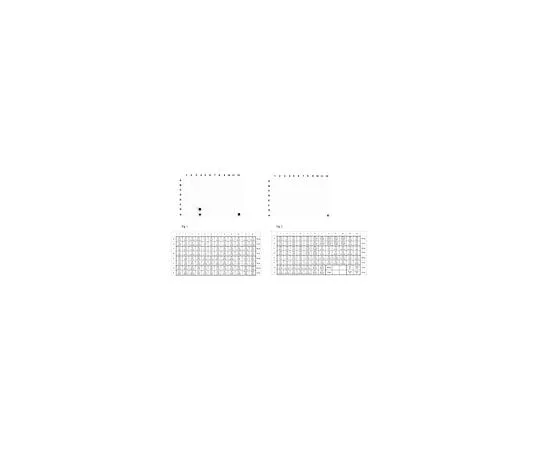 62-8462-23 Anti-phospho Histone H3 (Tyr41) ABE566