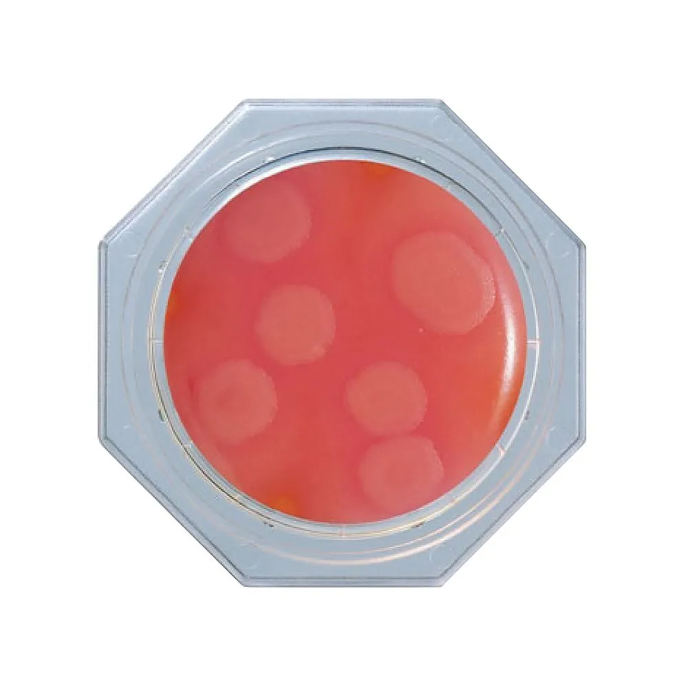 2-9004-07 Food Stamp, Agar Plate (Cereus/5 Pieces x 6 Bags) 06753