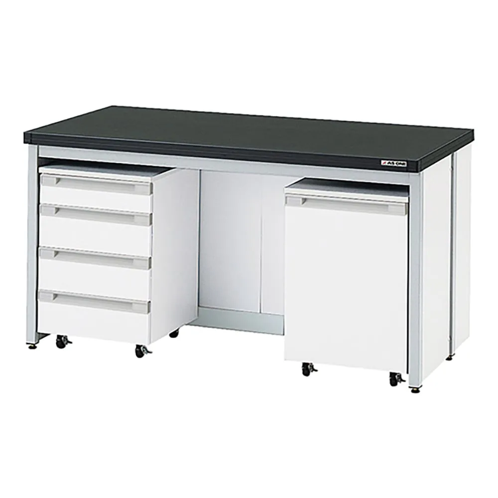3-4473-11 Side Laboratory Bench (Frame Type) 600 x 750 x 800mm HSF-675