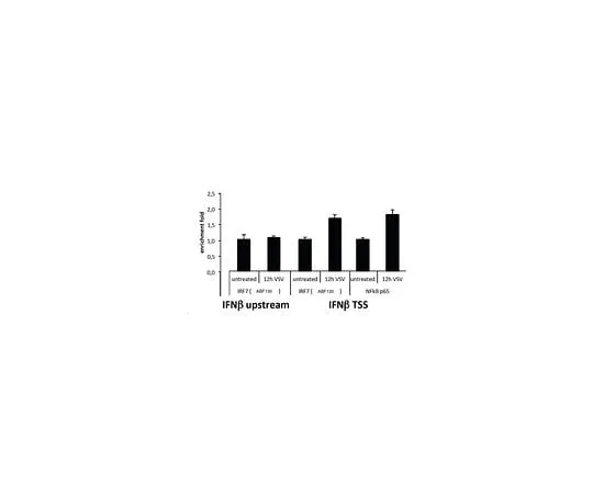 62-8464-61 Anti-IRF7 Antibody ABF130