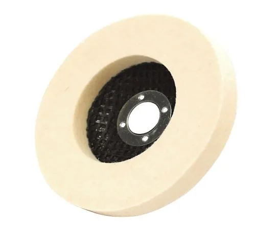 3-339-01 Felt Disk 5 Pieces FD100S