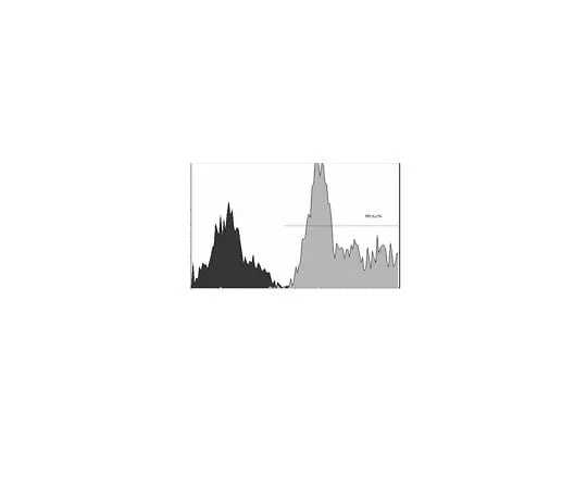 62-8392-36 Anti-ZAP-70, clone 2F3.2, FITC conjugate; 100 μg 16-210