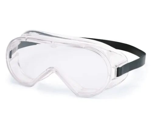 61-0176-06 Protection Goggles YG-5090 HF N YG-5090HFN