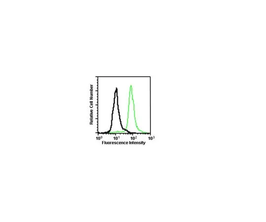 62-8375-35 Anti-p120 Catenin, clone 15D2; 100 μg 05-1567