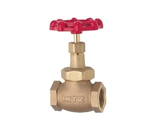 65-1888-46 General Purpose Globe Valve (G) Nominal Diameter 8 mm G8A