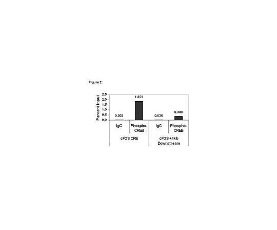 62-8394-26 ChIPAb+(TM) Phospho-CREB (Ser133); 25 assays 17-10131