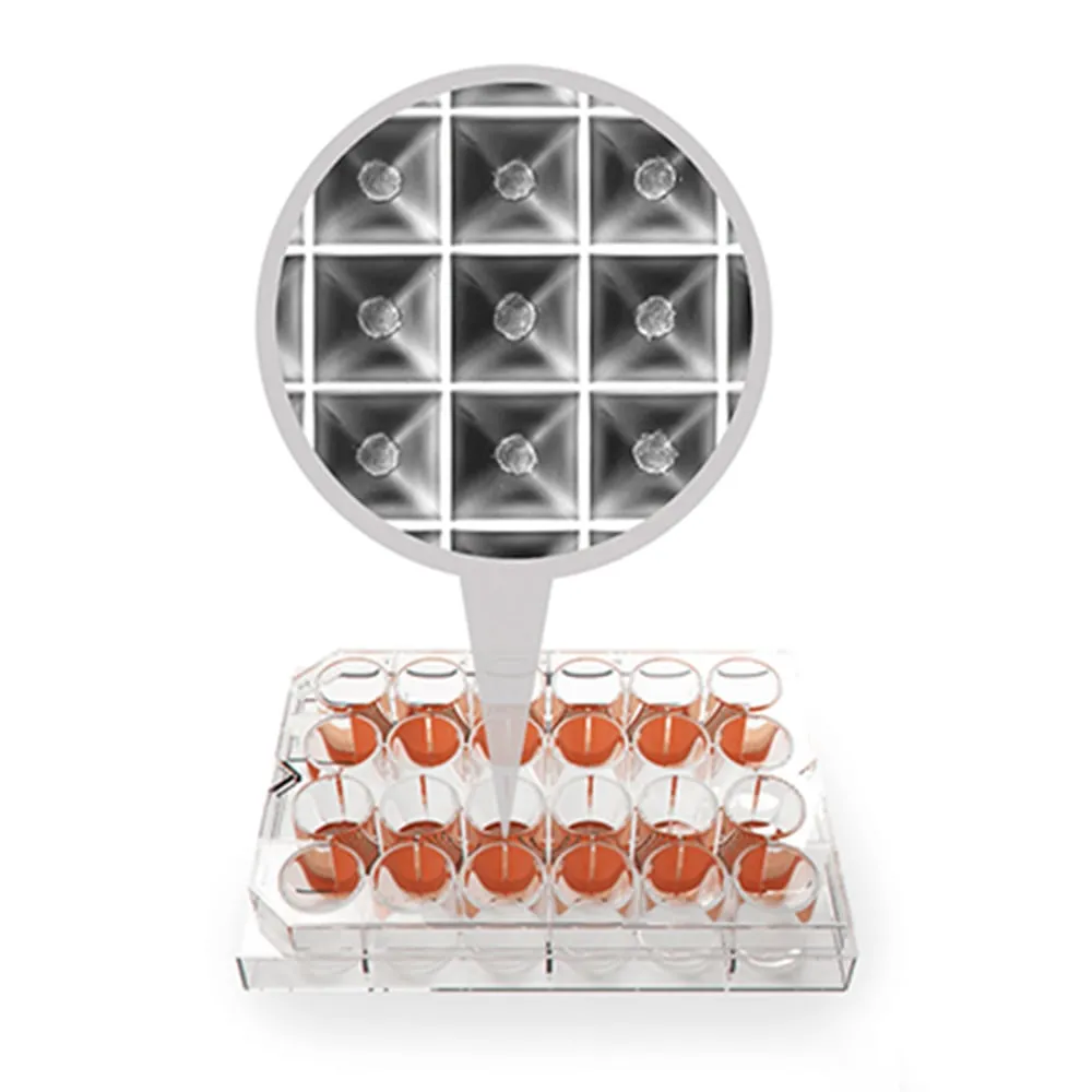 4-1318-01 Spheroid production culture plate SPHERICAL PLATE 5D