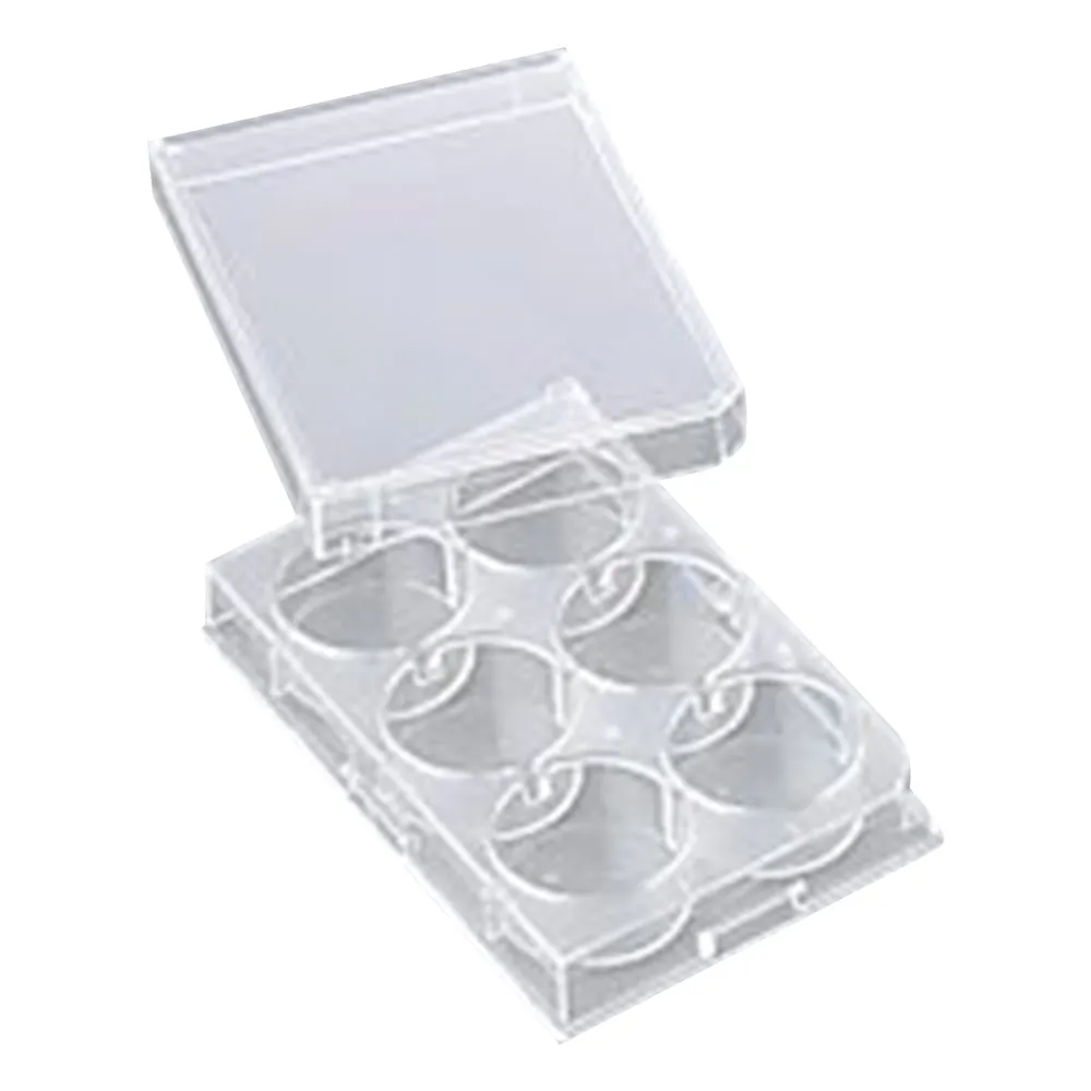 1-8355-01 Microorganisms Culture Plate Holes P06F01S