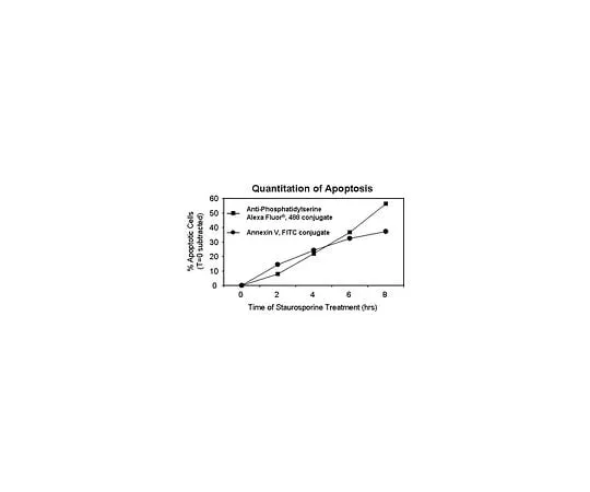 62-8392-66 Anti-Phosphatidylserine, clone 1H6, Alexa Fluor(R) 488 conjugate; 100 μg 16-256