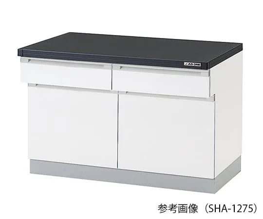 3-5693-21 Side Laboratory Bench (Wooden Type) 450 x 750 x 800mm SHA-475