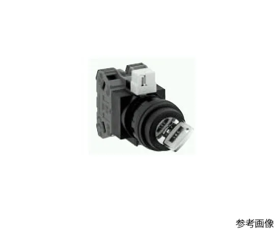 64-5604-43　［Discontinued］Key selector switch (each position stop/contact 1a)　HW1K-2A10