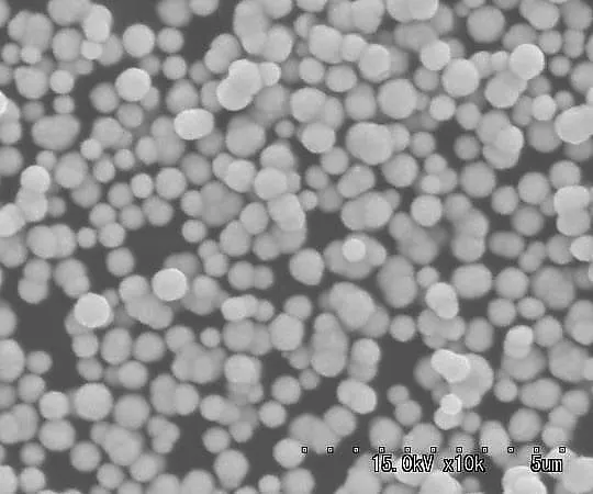 3-3051-06 Silver (Ag) Powder (Silvest Reduction Silver Dust) 0.5μm 1G AGS-050