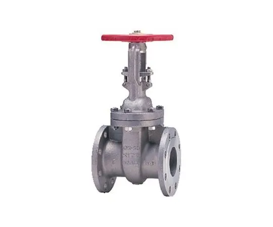 65-1877-58 Gate Valve (10 UMAT) Nominal Diameter 25 mm 10UMAT25A