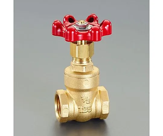 64-7858-04 Gate Valve (brass) Rc 1/2 " EA470DF-4