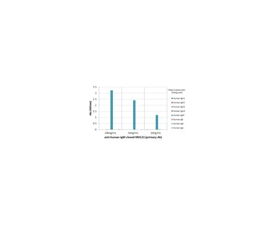62-8369-75 Rabbit Anti-Human IgM, clone RM121 Antibody 04-1653