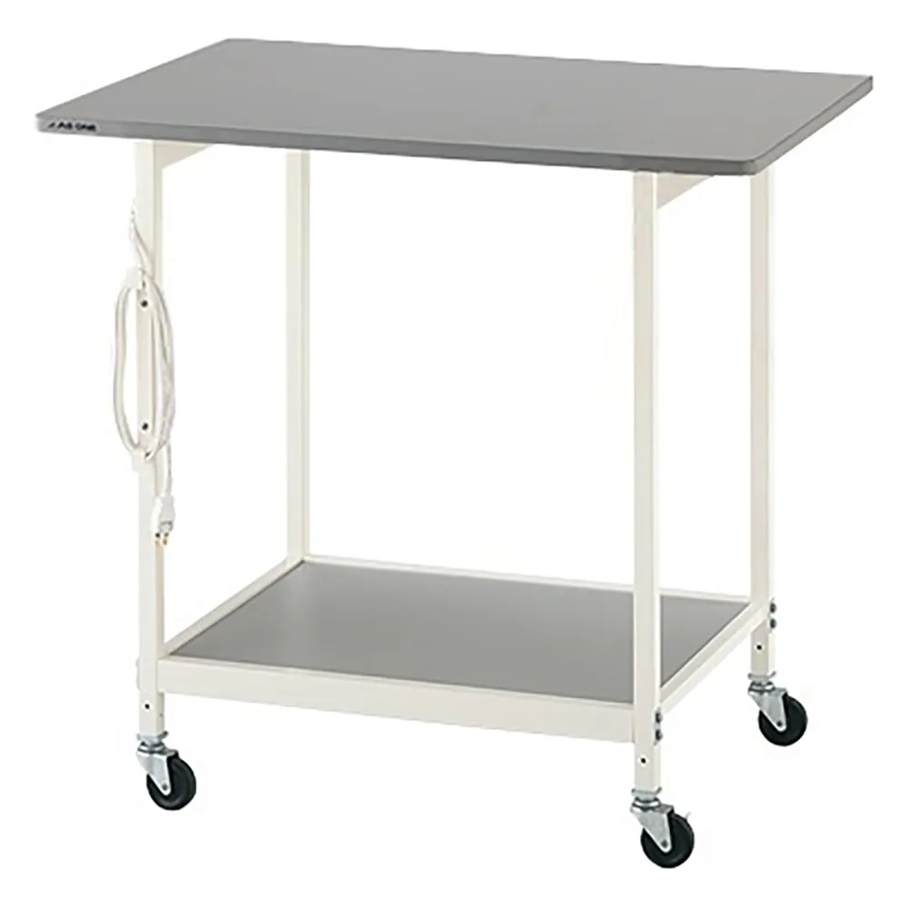 3-6666-01 New Lab Bench (White Color) 900 x 600 x 800 Standard A-W
