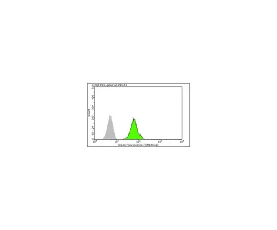 62-8375-20 Anti-FXR1, clone 6BG10; 100 μg 05-1529